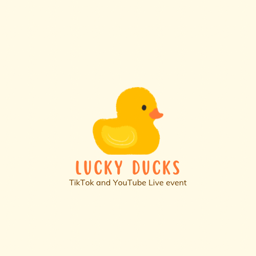 Lucky Ducks mystery box