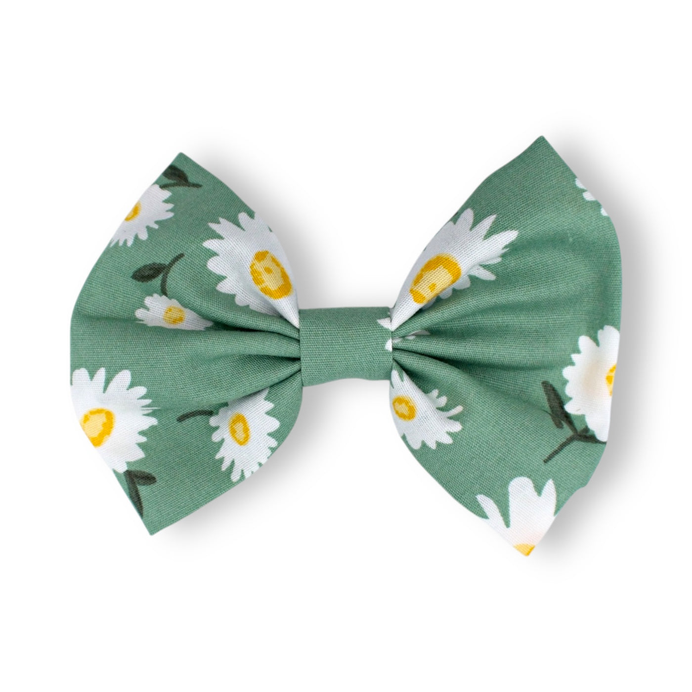 Fiona Bow